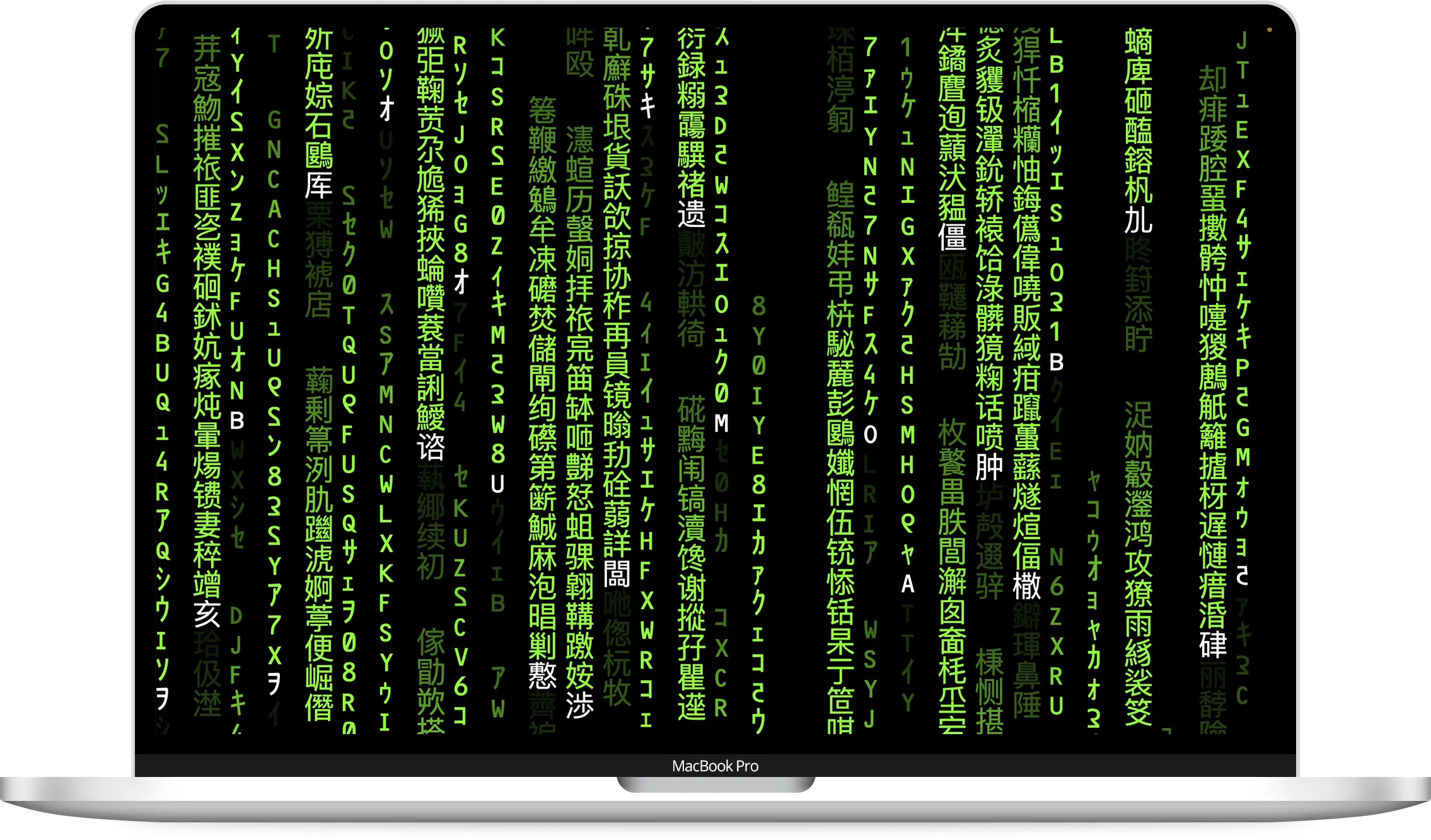 Matrix Digital Rain running on a MacBook